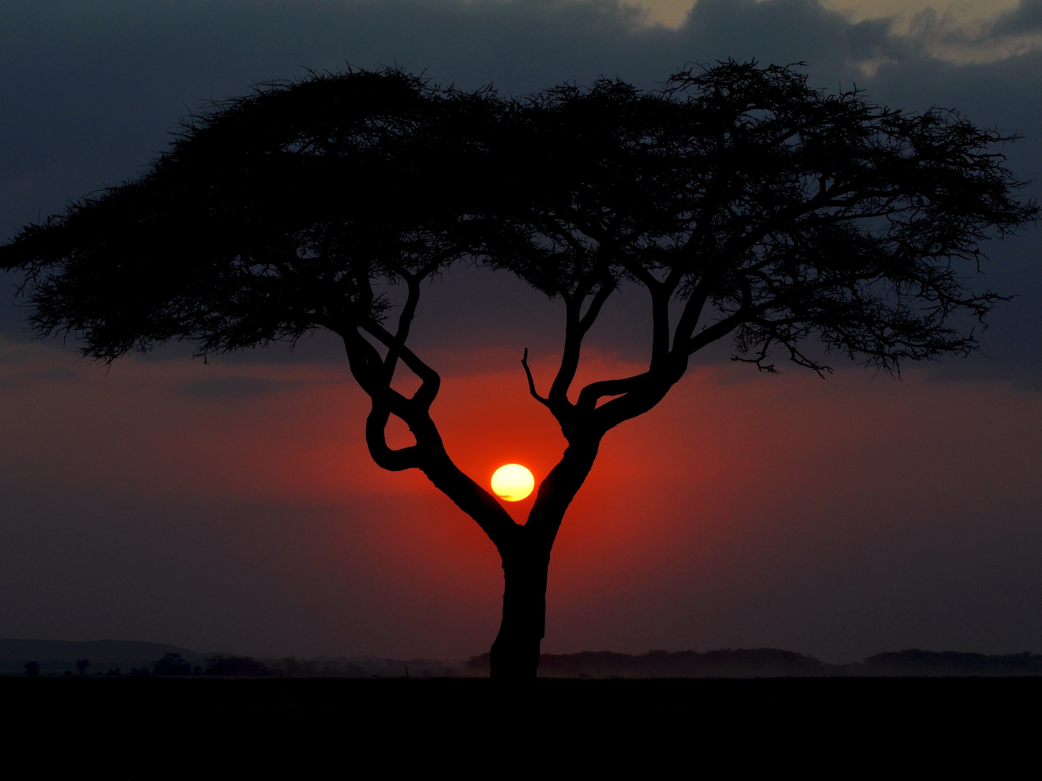 Community Roots Across 39 Districts